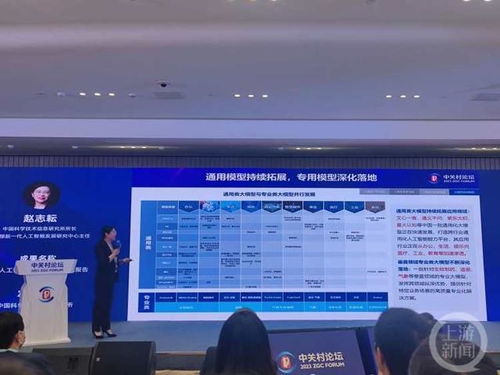 聚焦中關村論壇 中國AI大模型地圖發(fā)布，基礎軟件與特定領域布局待加強